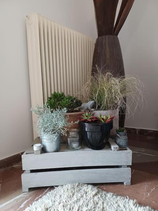 Apollo Apartment Athens/Airport Spáta المظهر الخارجي الصورة